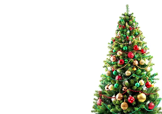 2026 izmir YENİ YIL Çikolata KATALOĞU